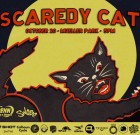 Scaredy Cat Minneapolis